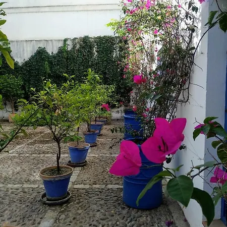 Wish Juderia De Apartment